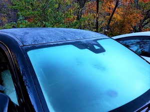 泡の湯　車